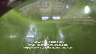 Transformez les liquides en poudres de haute qualité grâce à nos systèmes avancés de séchage par pulvérisation